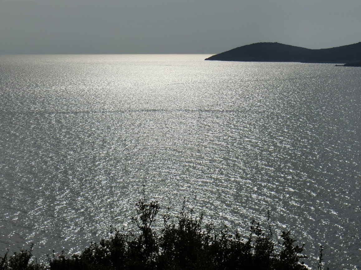 Müjde, Saros Kurtuluyor!* - Hakan Eşme